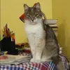 Отзыв от Виктория Панова
